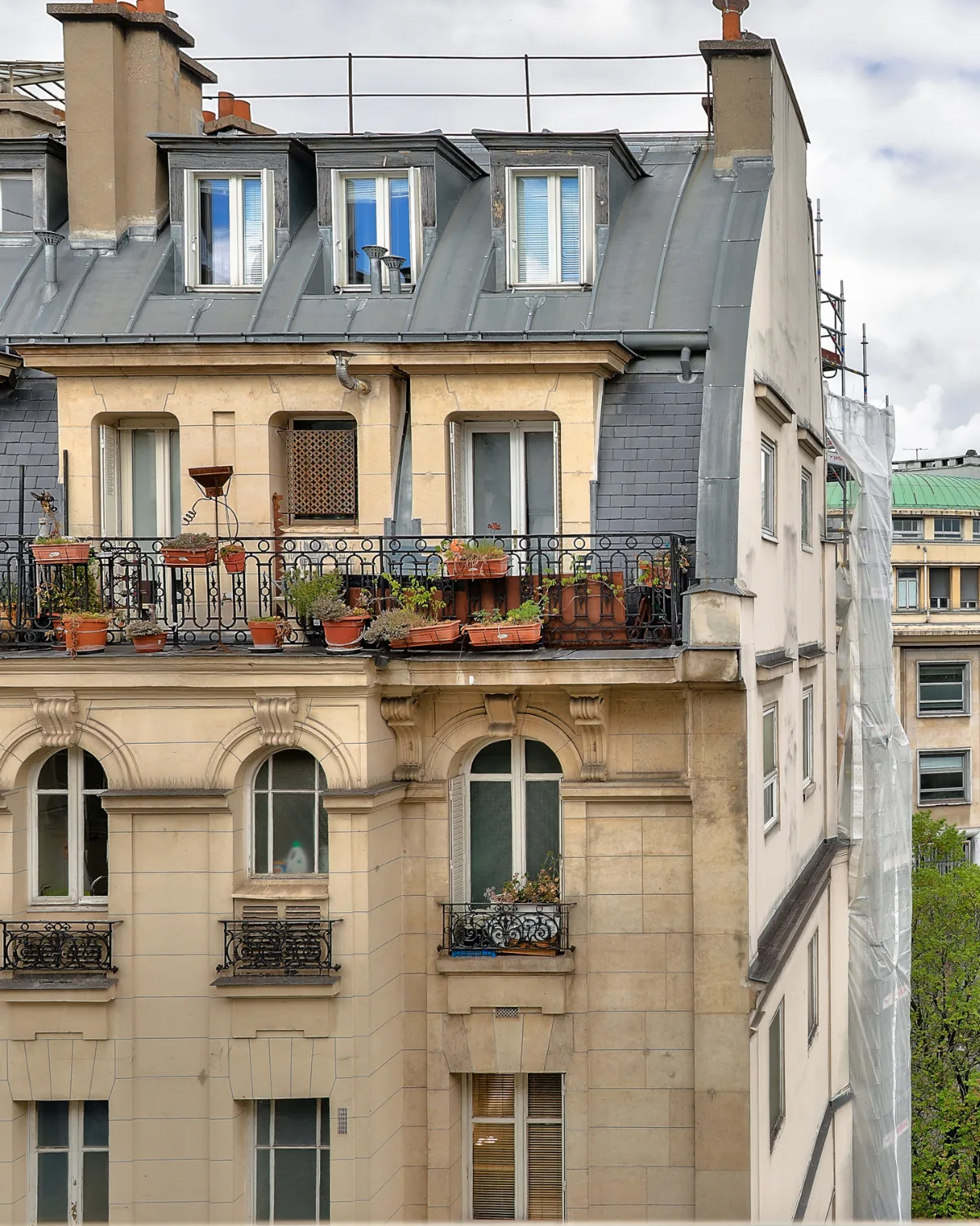 A Haussmann facade with a planted balcony, Paris 2nd arrondissement