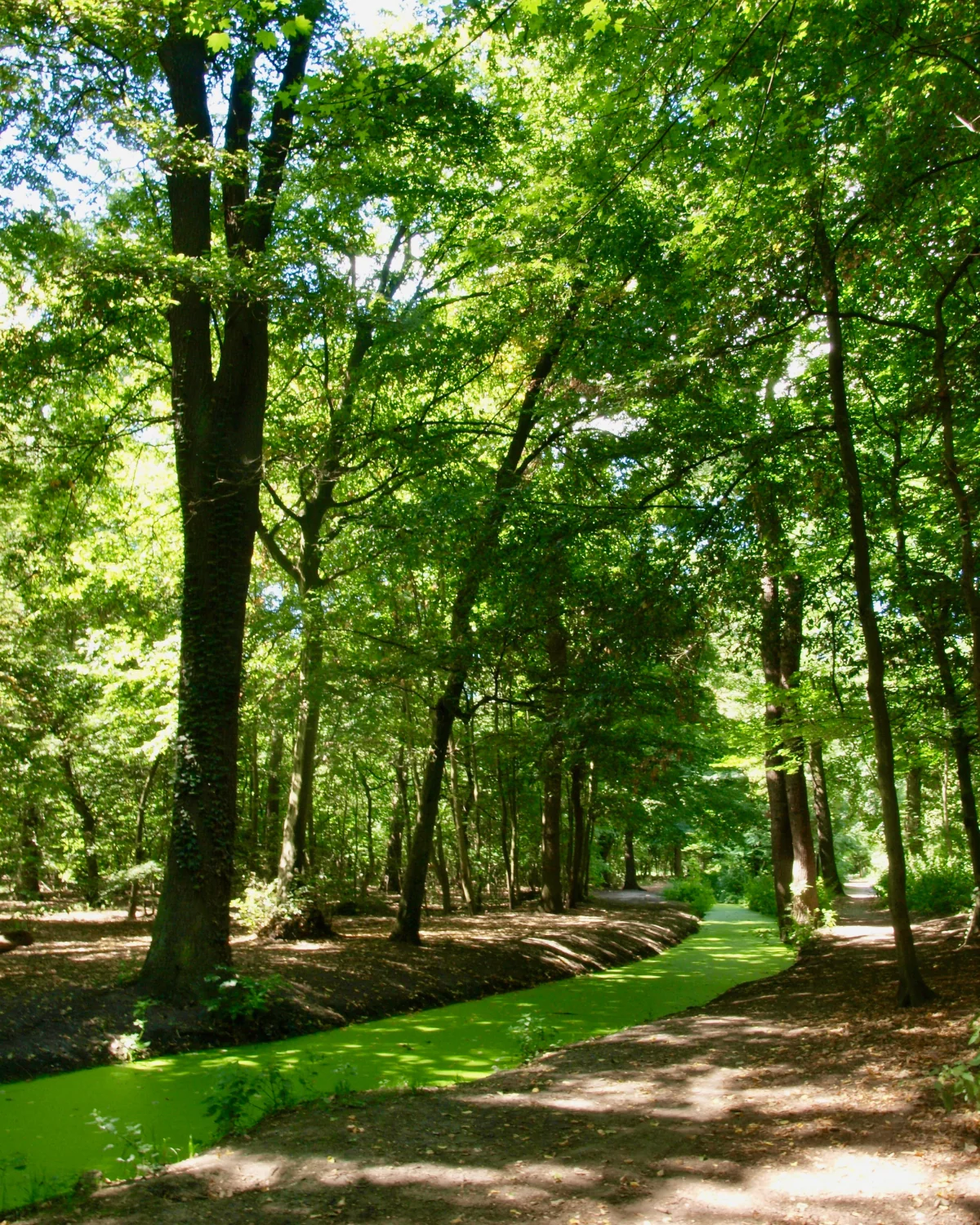 Bois de Boulogne — Paris 16e arrondissement